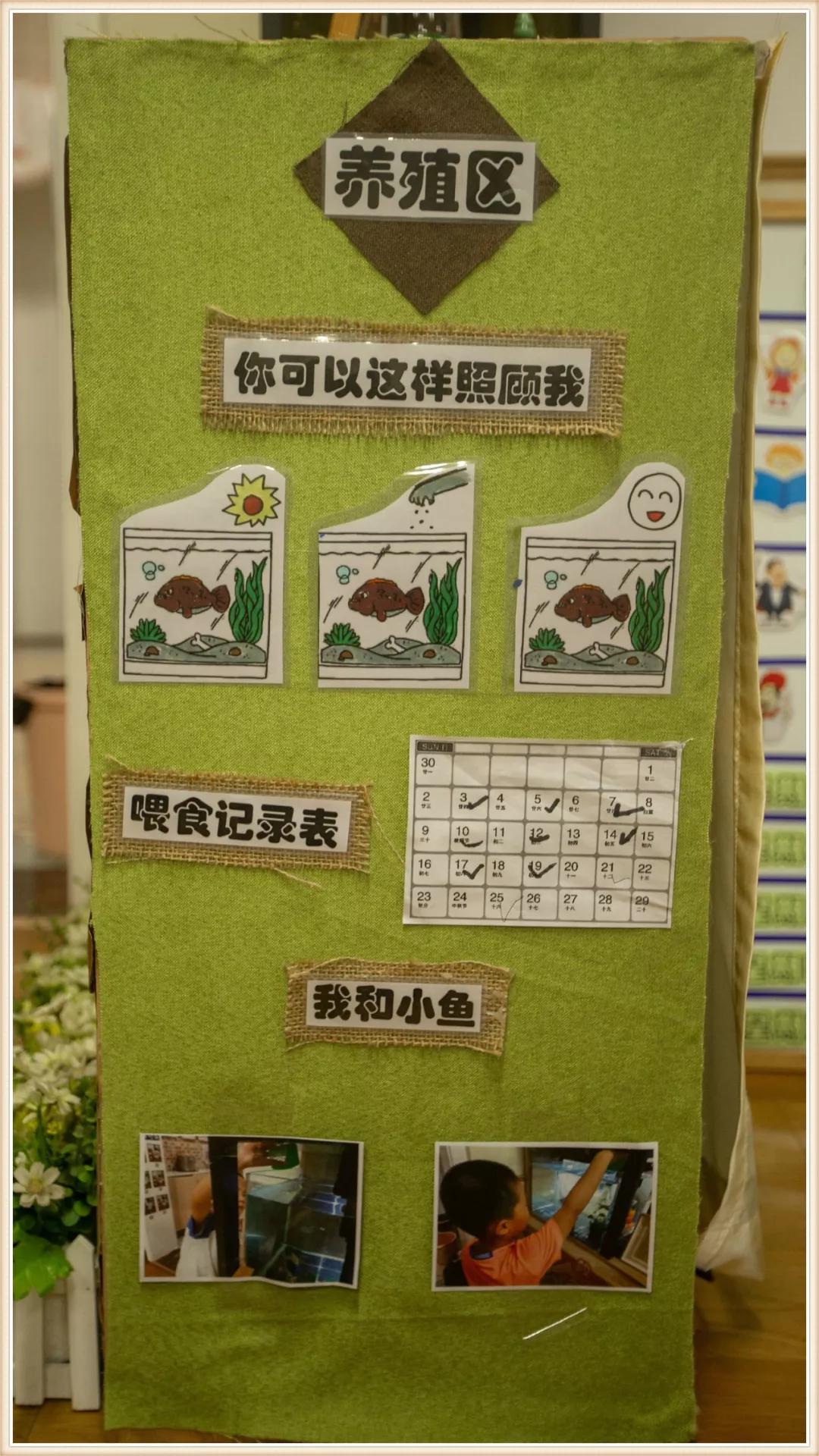 幼儿大班生命教育环境创设,大班新学期环境创设实施方案