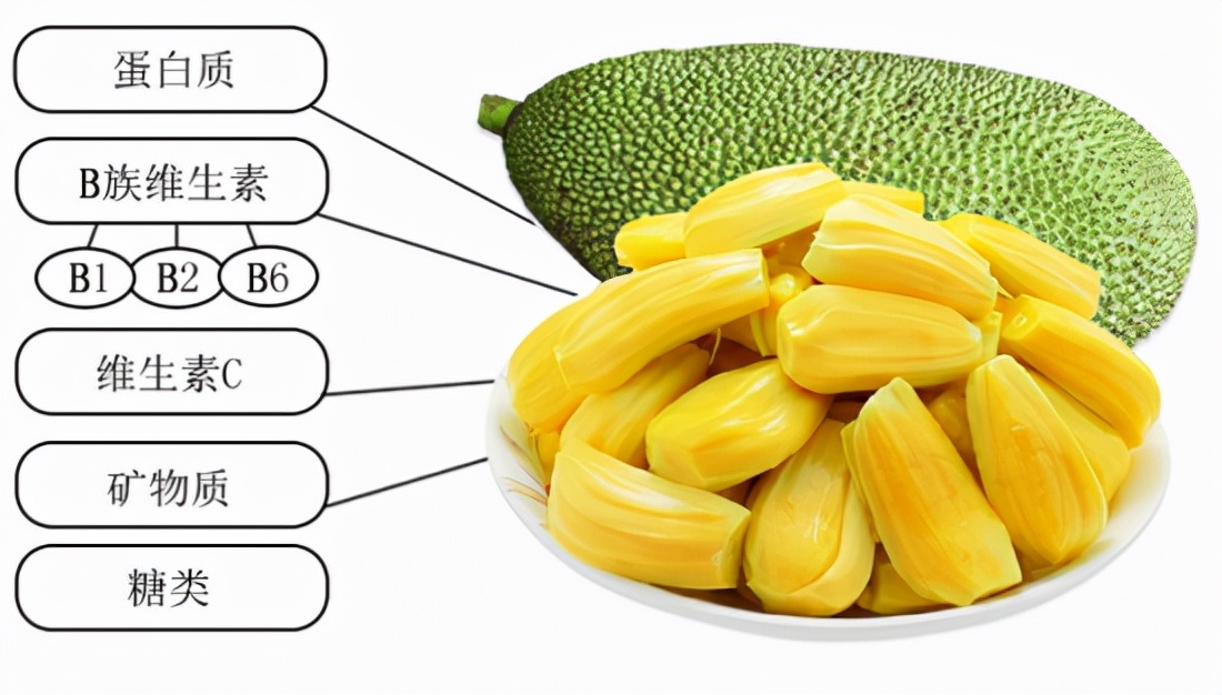 你不知道的菠萝蜜图片,菠萝蜜你不知道的秘密