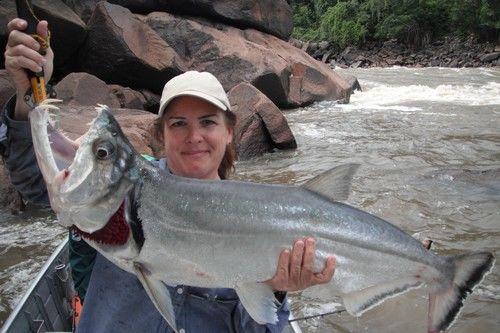 世界上最危险的五大鱼,10种最危险的鱼