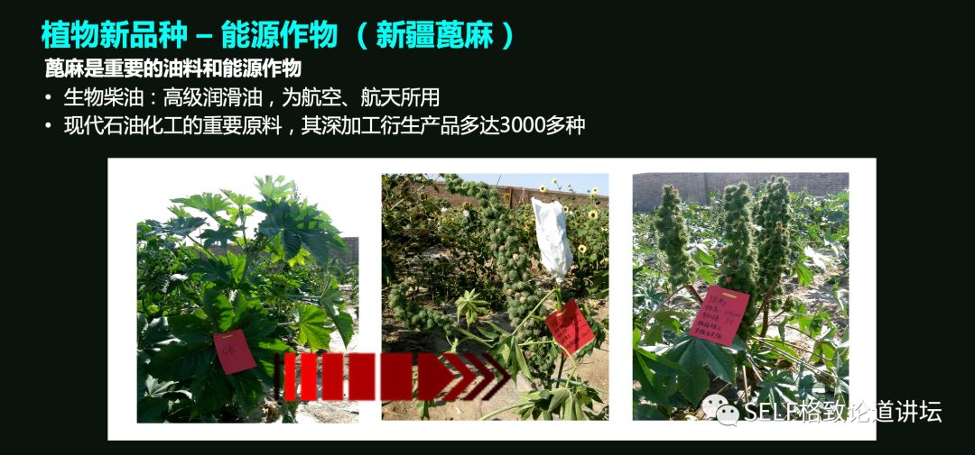 这个装置成功辅助我国两弹爆炸，现在它能治疗肿瘤