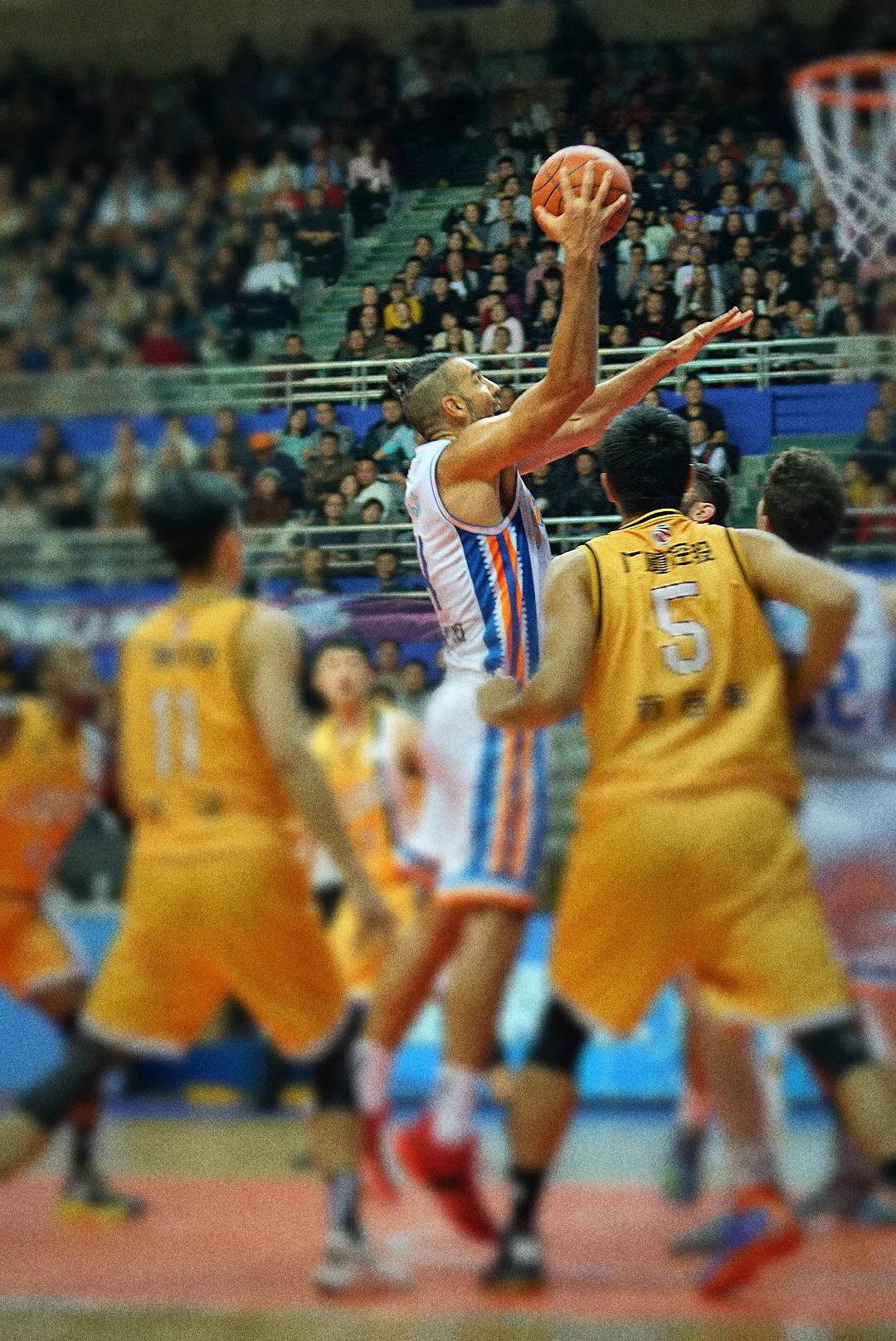 现场看cba去哪里看,现场看cba有多震撼