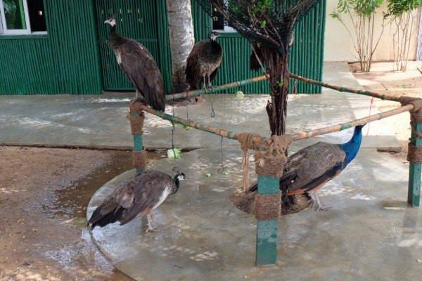 假期带孩子去大海旅游推荐,大海波澜壮阔亲子游攻略