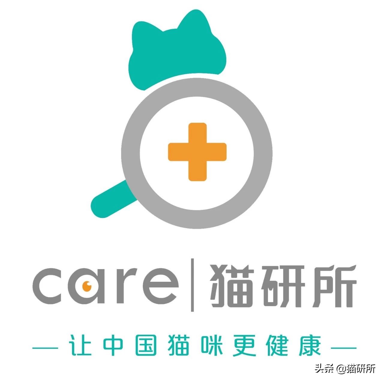 喵星人也爱音乐！只是不喜欢你听的那种...