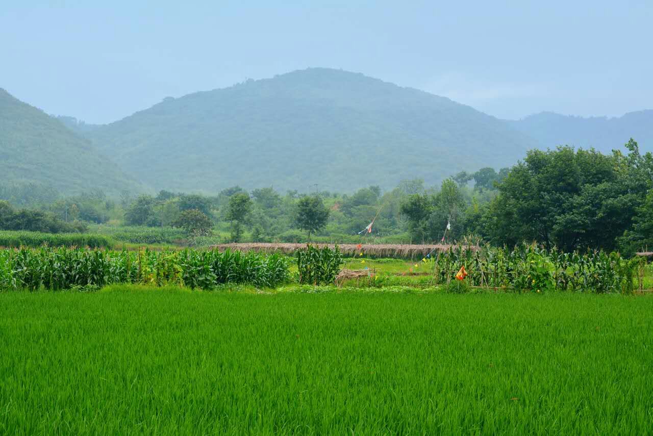 摩友一起骑行的视频,与摩友一起川藏