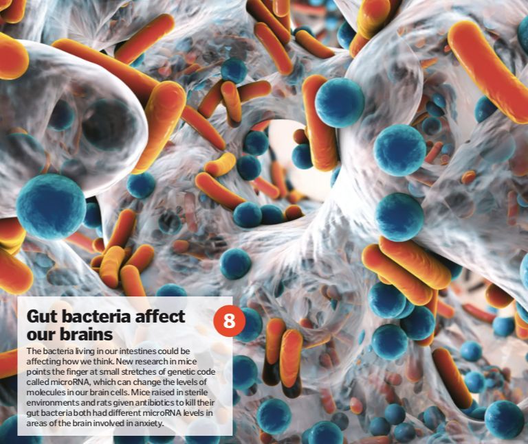 中国科学十大科技进展,中国科技进步有哪些