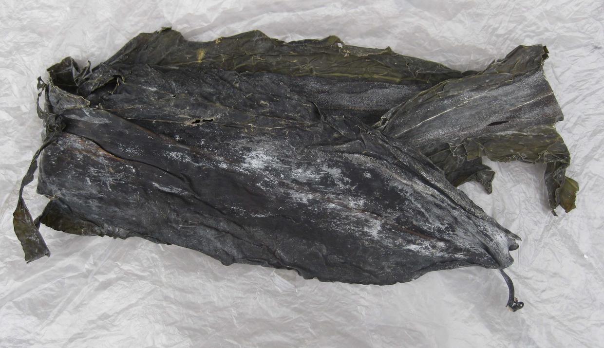 干海带洗干净了怎么保存,干海带煮完如何保存