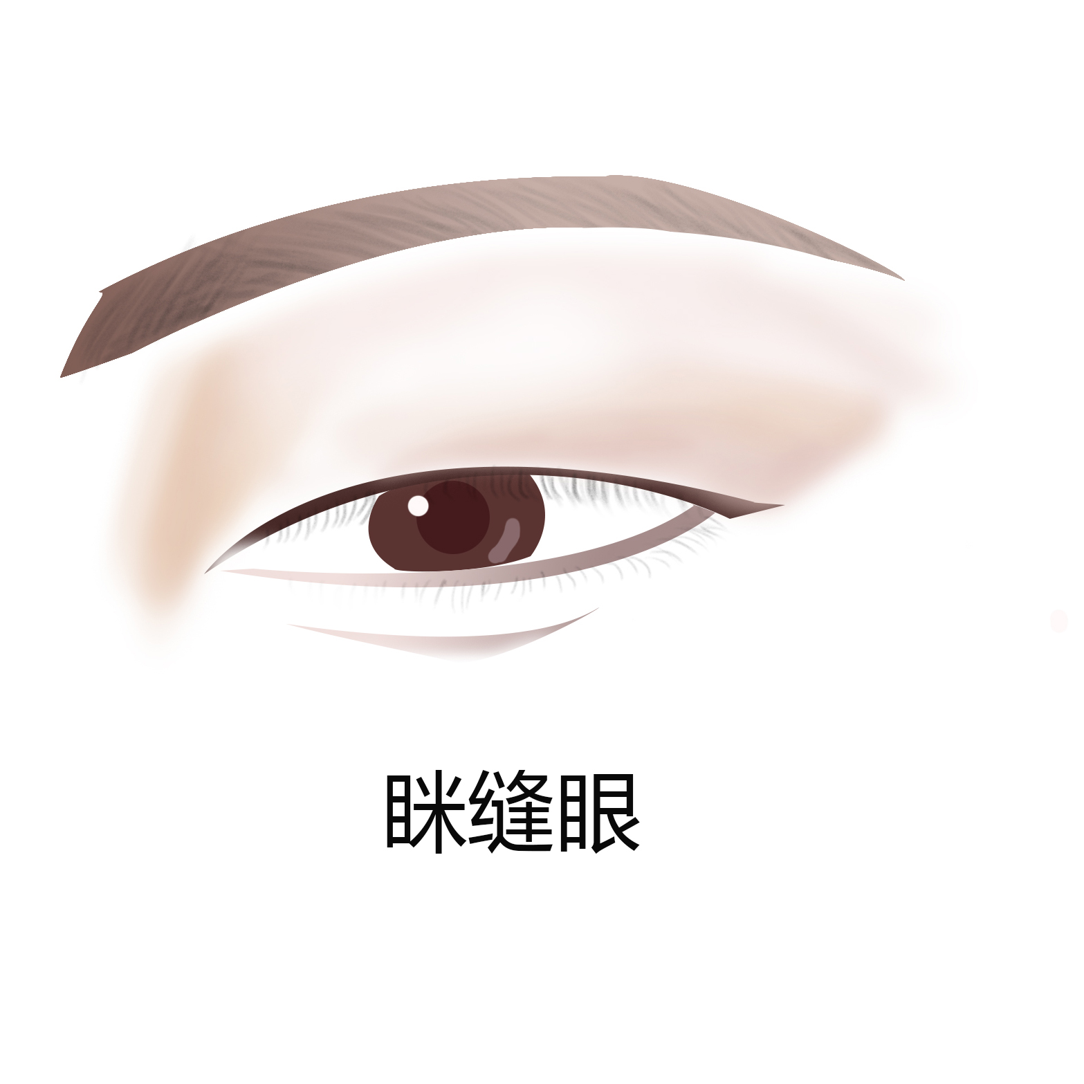 如何判断自己的眼型适合什么妆,如何判断自己的眼型是不是桃花眼