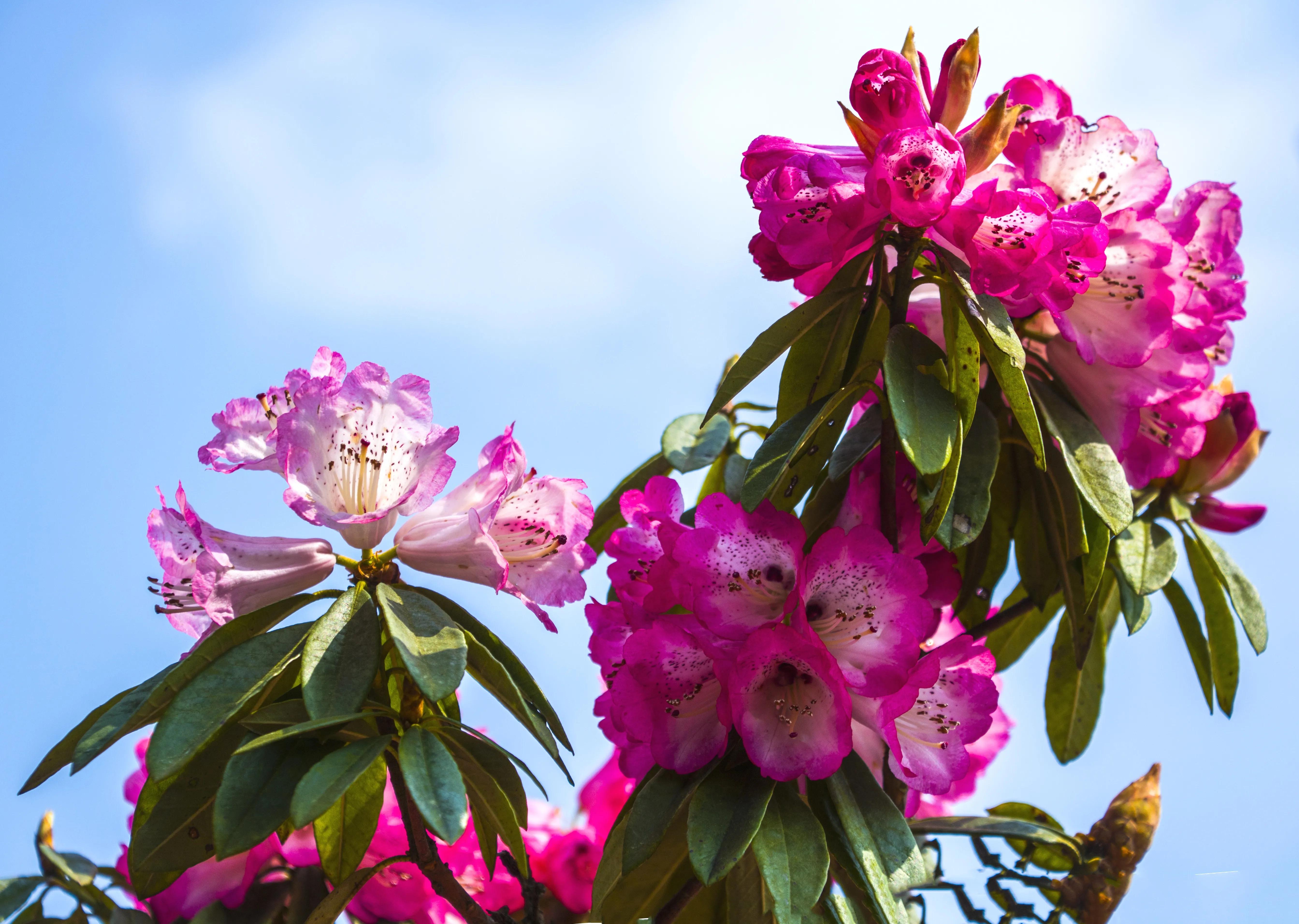 贵州大学1984级管科系同学欢聚毕节录