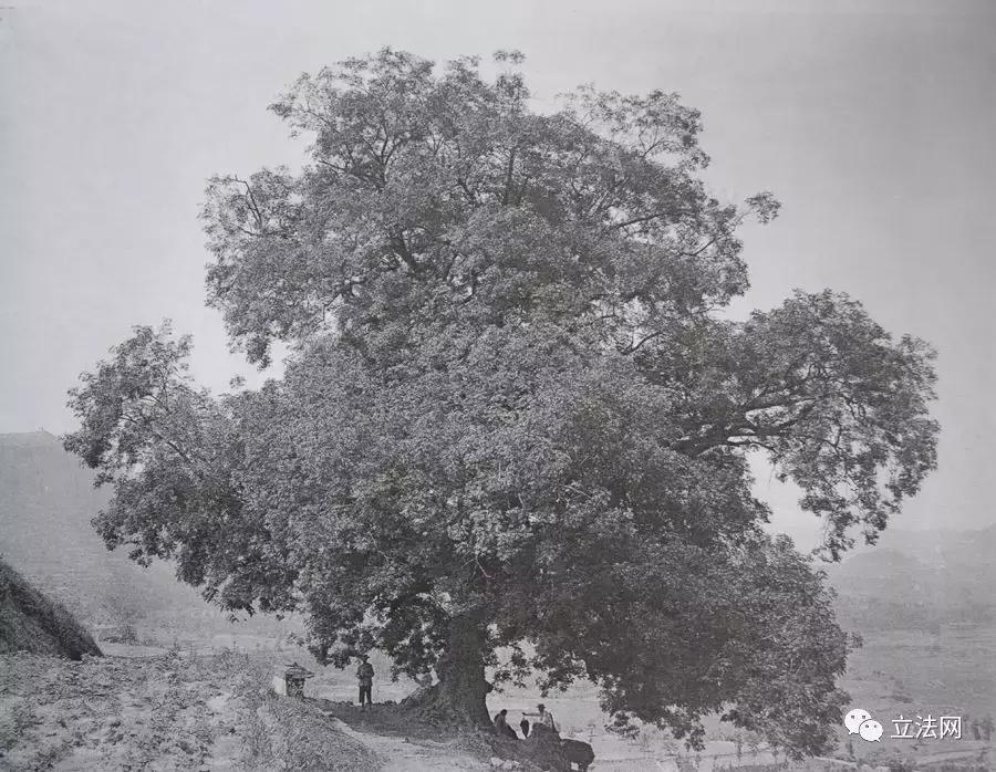 阆中古城兴废史略（中篇）