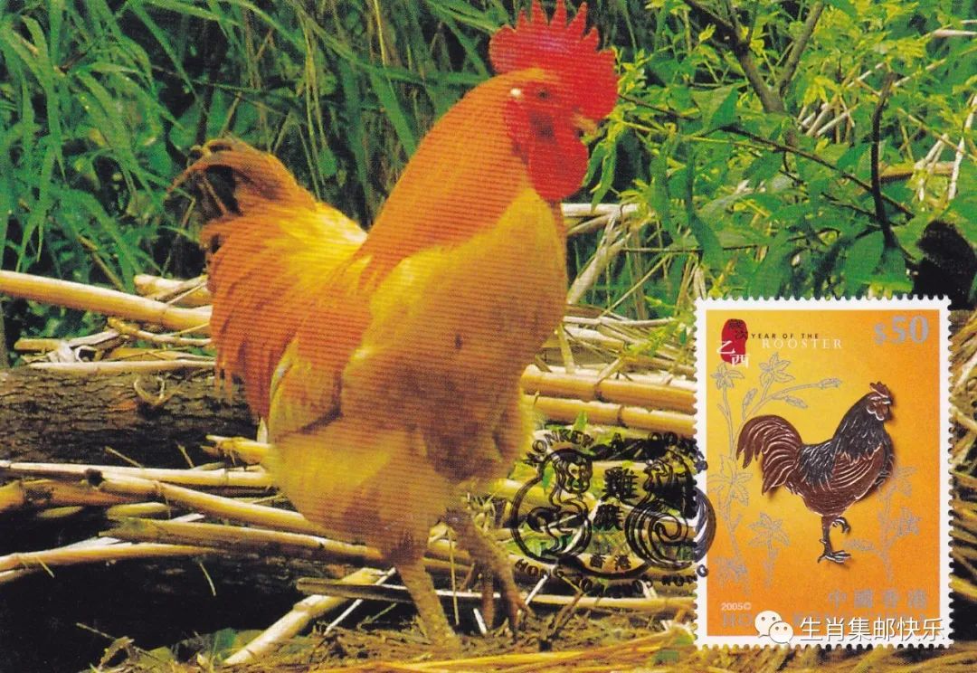 生肖鸡全集,生肖鸡的高光时刻