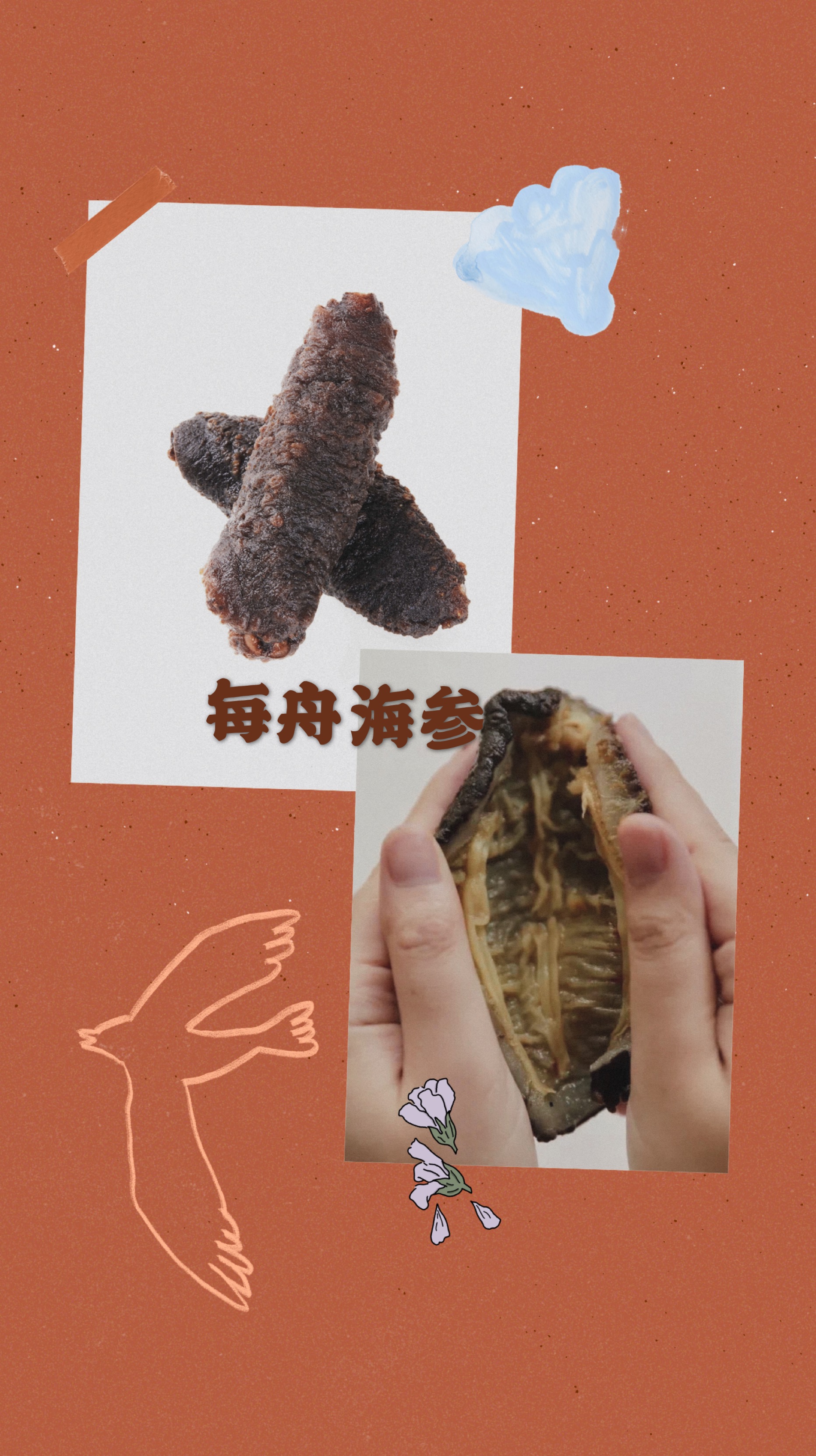 如何区分假海参和真海参,真假海参对比