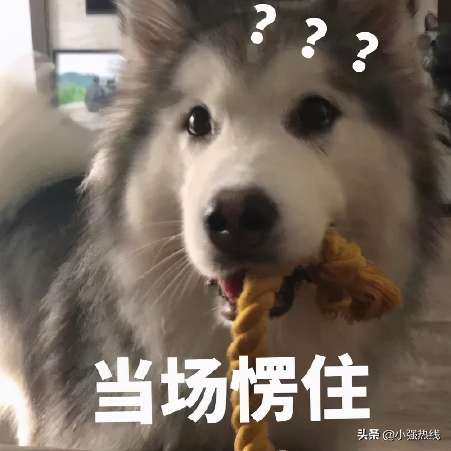 女子花1000多万隆胸10多次险丧命,女子隆胸后后悔哭诉真实经历