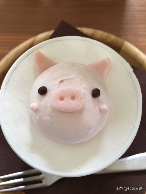 日本迷你猪咖啡厅,日本街头超有人气的猫头鹰咖啡厅