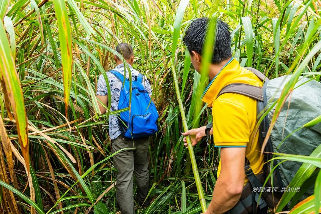 徒步穿越秦岭无人区,徒步穿越喀斯特森林