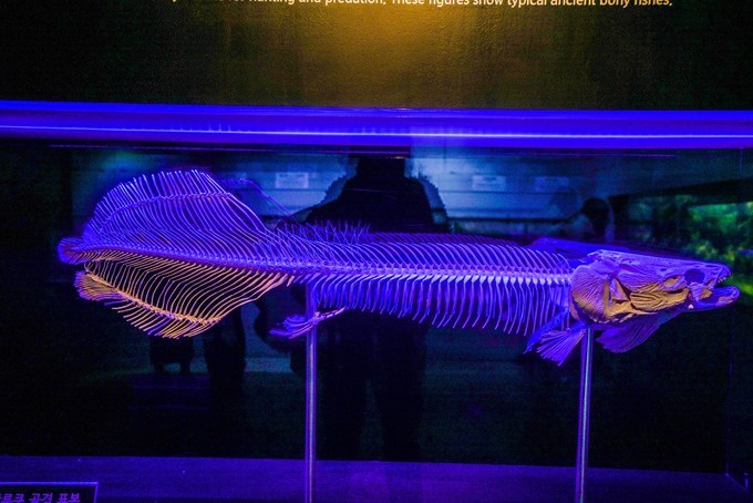 去韩国必买清单,韩国购物攻略衣服