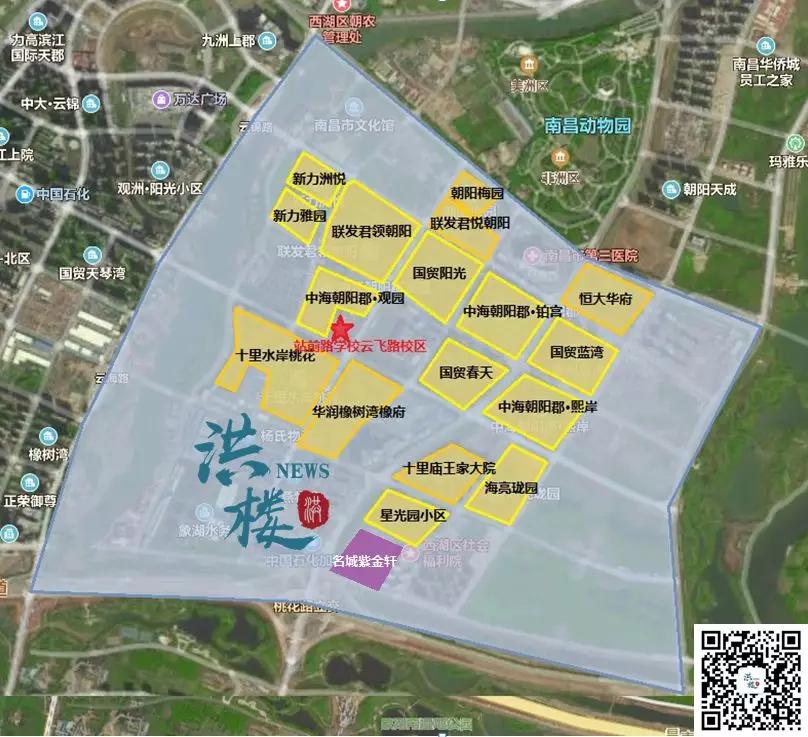 必看！朝阳+九龙湖学区全整理！黄金双区购房必备指南