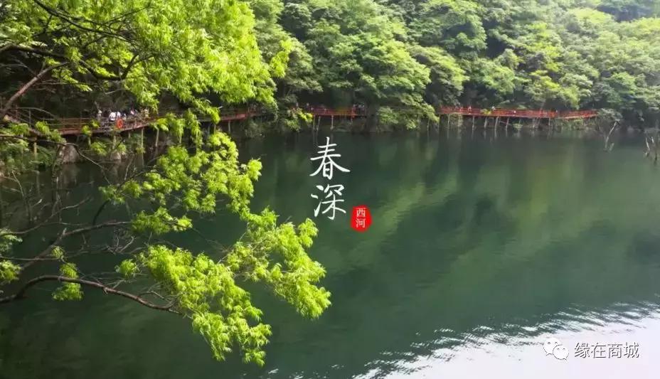 「品读」我的前男网友——以后真的不单独见面吗?/江河之王