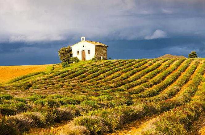 深圳本地游旅行社十佳排名,深圳旅游团国庆旅游