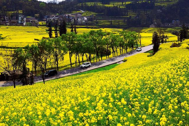 一生必去的云南,一生必去50个地方云南有几个