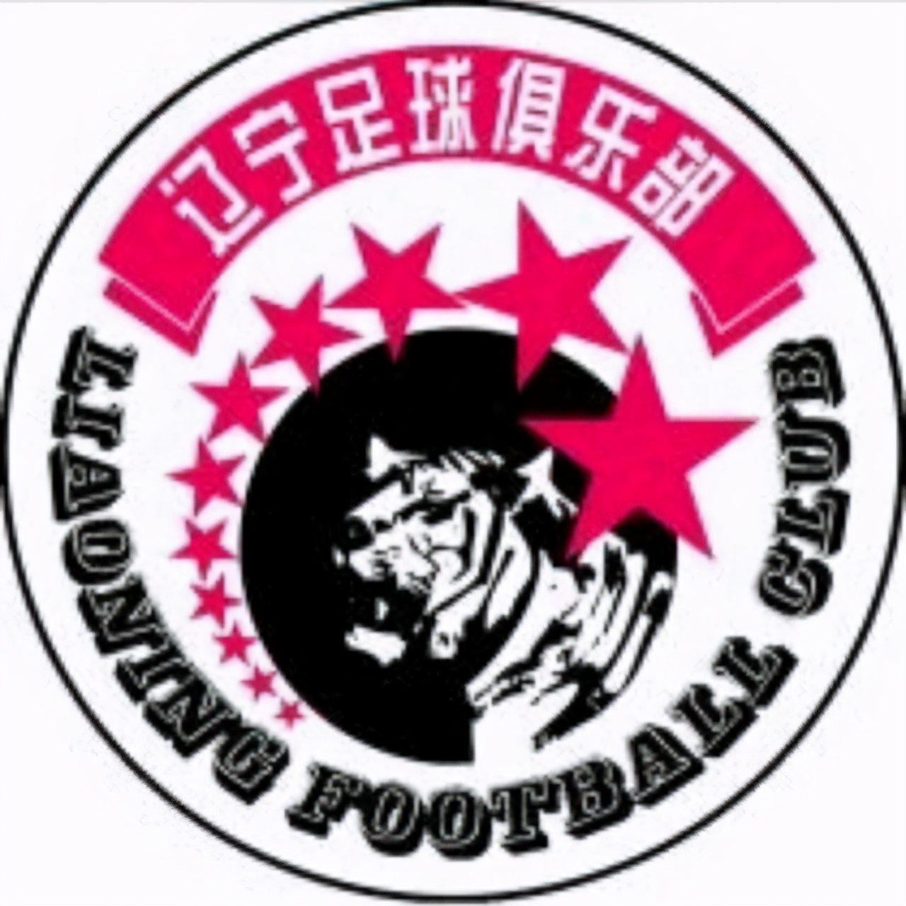 天津泰达更名后的名字,天津泰达足球俱乐部改名