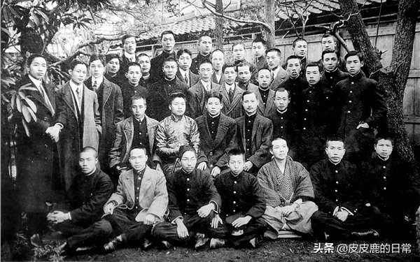 有理数与正有理数区别,有理数和有理数的定义