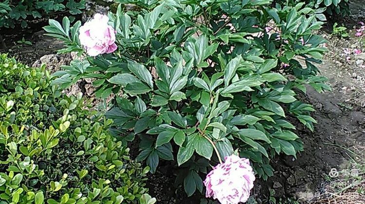 上海中山公园介绍,上海中山公园