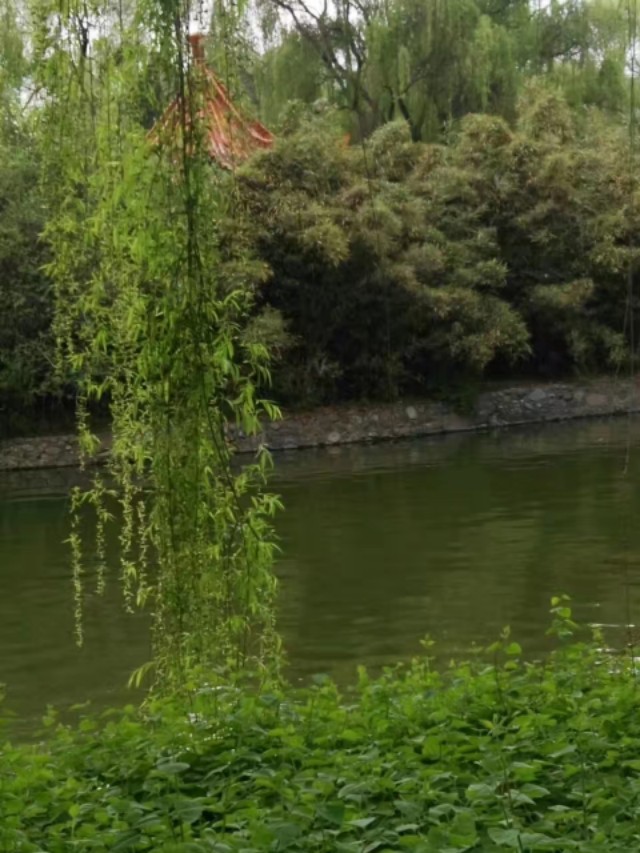 凤翔县城全景,印象凤翔