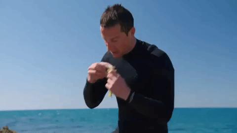 鏃ユ湰鐚村瓙鍚冮奔,鏃ユ湰鐚村瓙绉冨ご鍚冮潚鑺遍奔