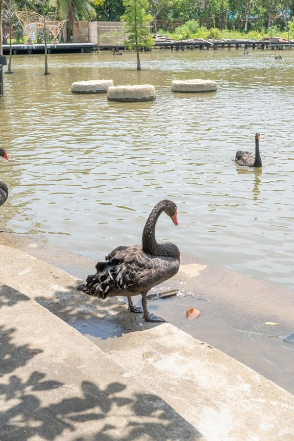 广州南沙最美风景区,南沙湾区超美风景线