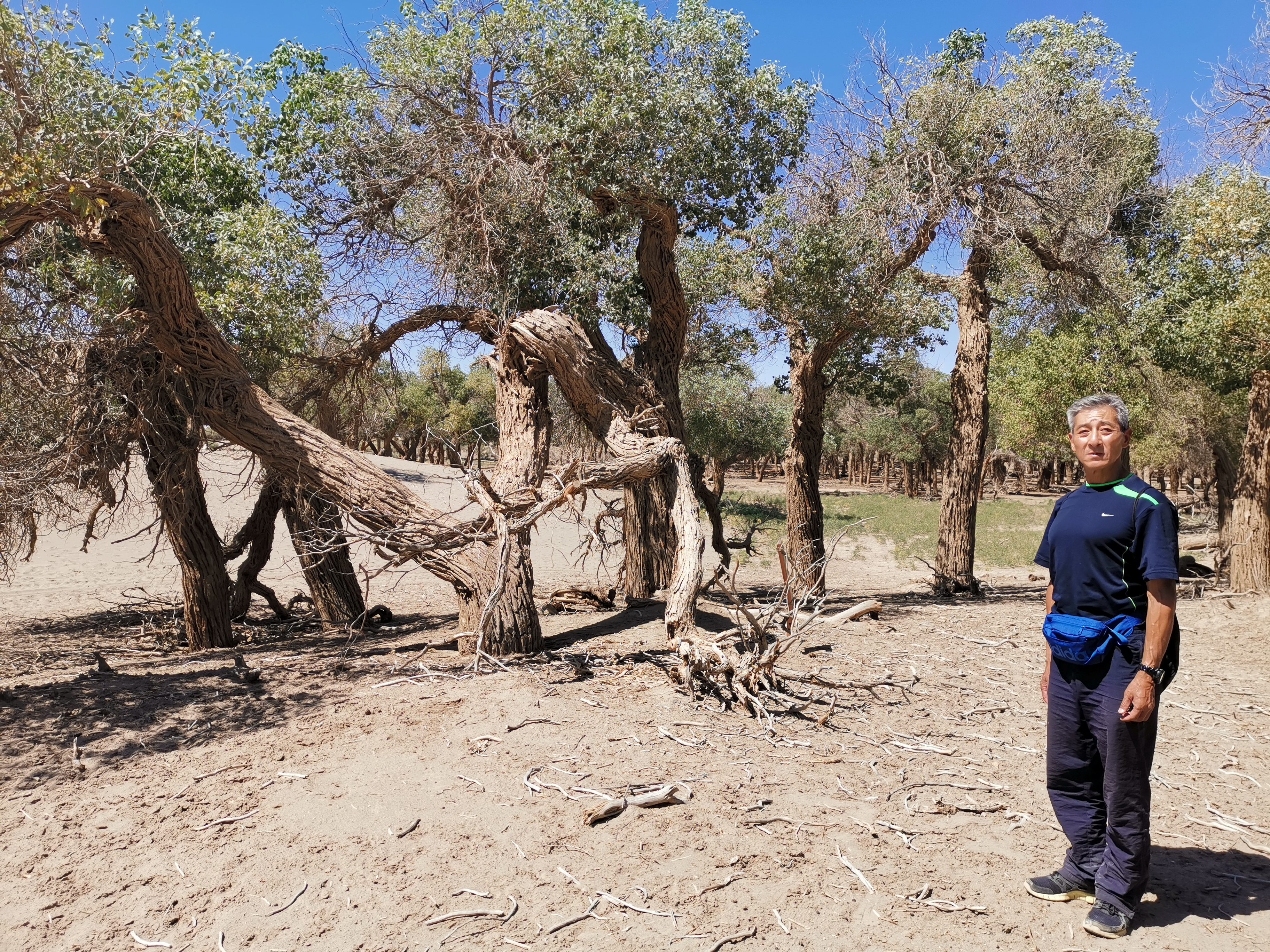 65岁的老人自己去旅游,60岁老人独自旅游