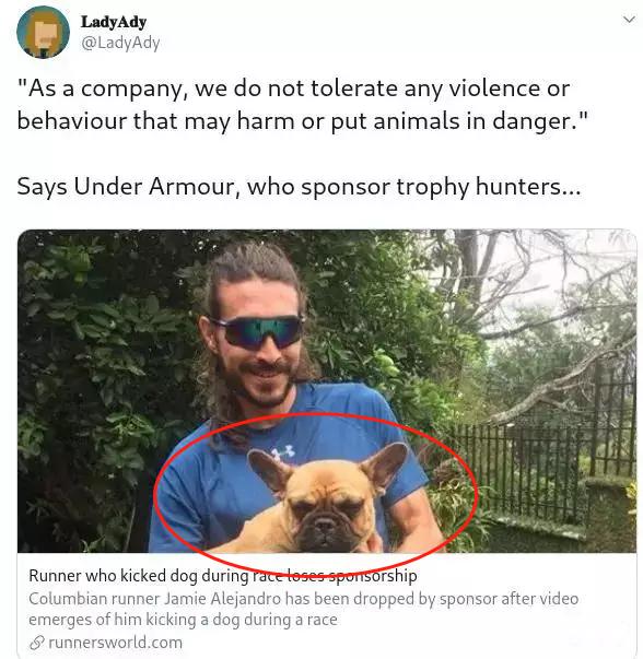 运动员踢死一只小狗,运动员踢小狗