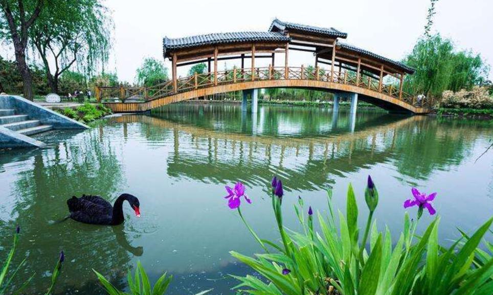 山东临沂菜园,临沂哪个县发展前景好一些