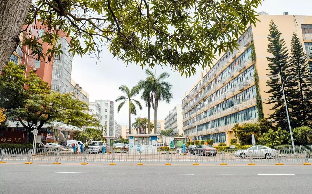 附近莲塘,附近的莲塘