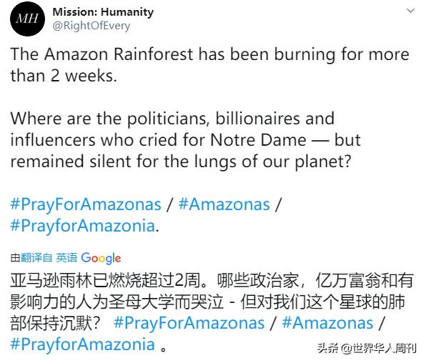 亚马逊雨林救动物,地球之肺亚马逊雨林