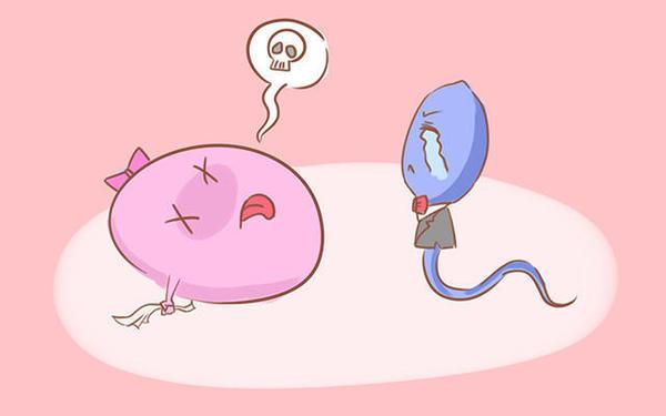 5000搞定全屋家用电器,5000块钱装修厨房做饭方便