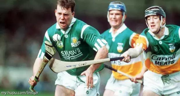 亨利手球助攻绝杀,南非世界杯预选赛亨利手球