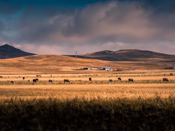 重返丝绸丈量欧亚宝沃汽车一带一路大使非凡之旅（上）