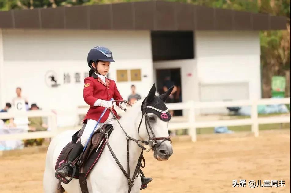深圳海边骑马地点推荐,深圳骑马最佳地点