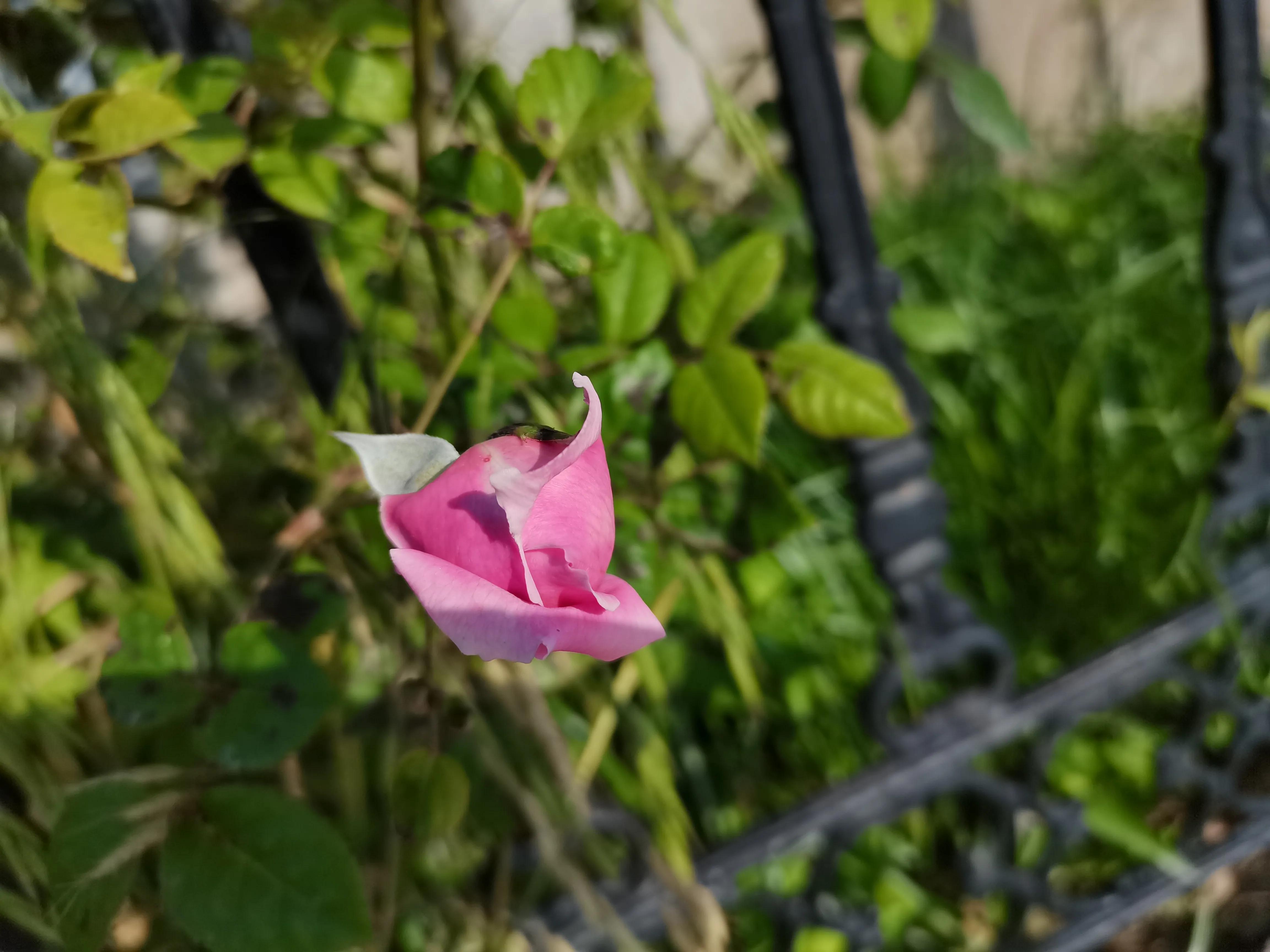 预防问题重于解决问题素材,预防问题发现问题解决问题