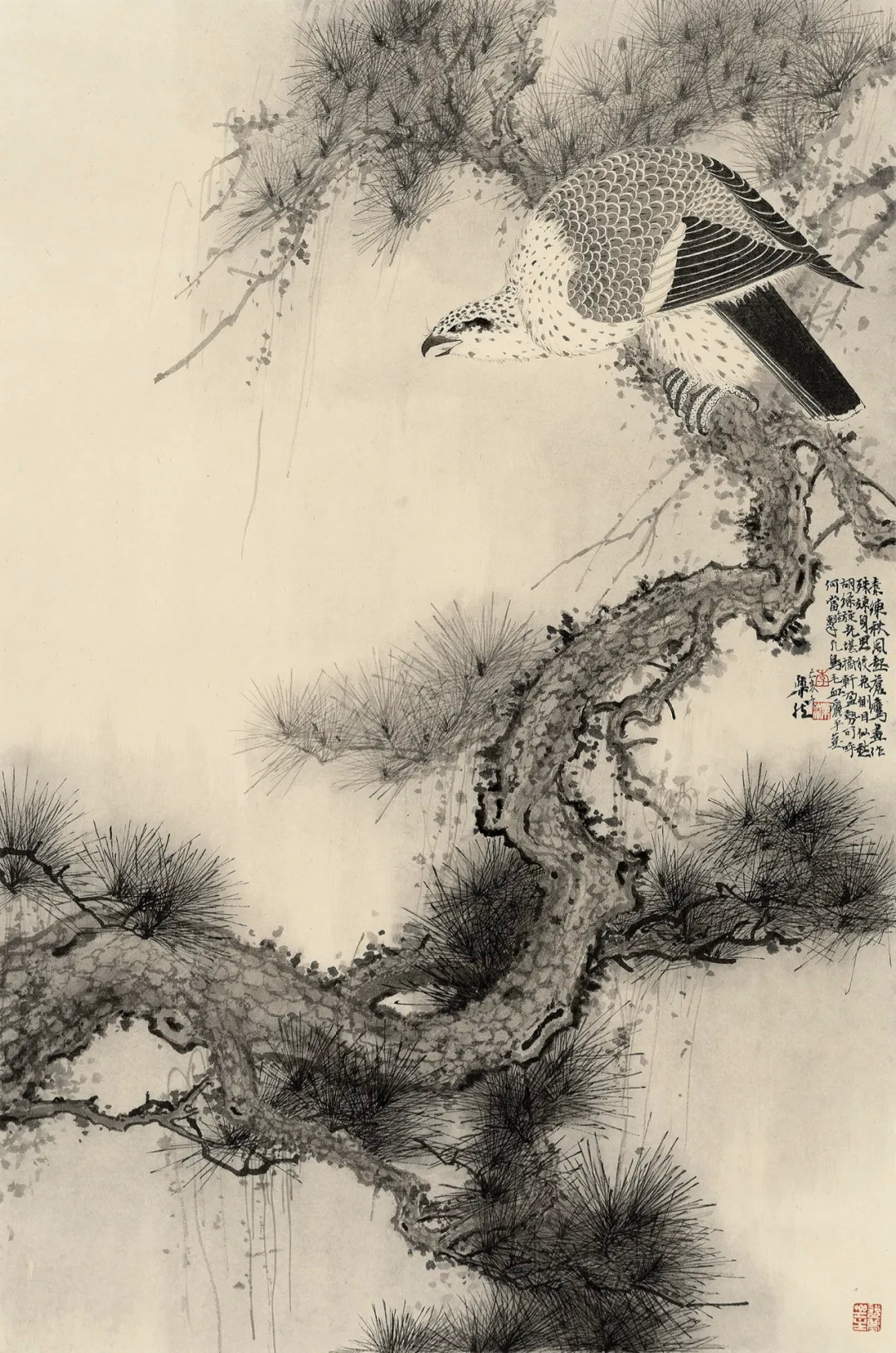 时风丨李乐然:我们这一代