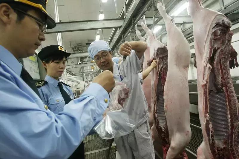 不合格的猪肉,检疫不合格的进口肉类怎么处理