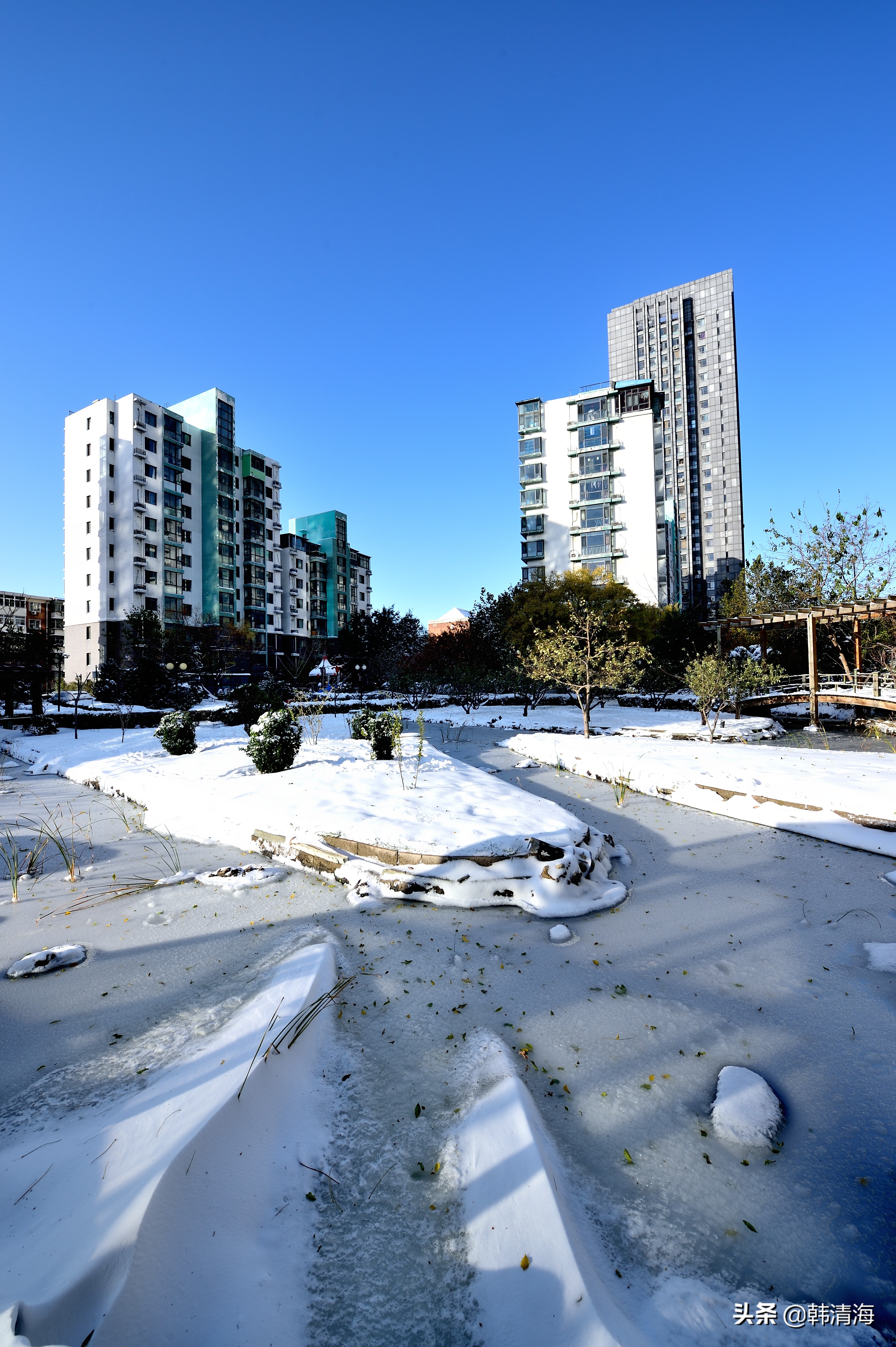 天津2022年雪景,天津第一场雪的美景