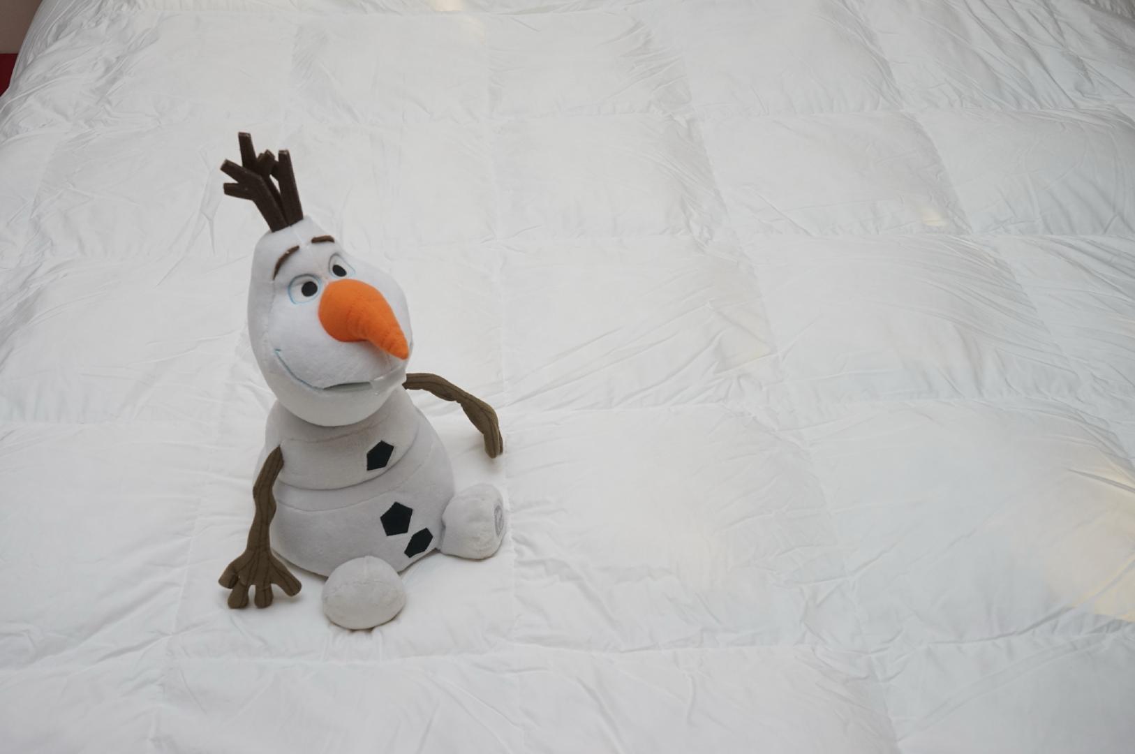 鹅绒被是冬季必备的神器,四季都能盖的鹅绒被