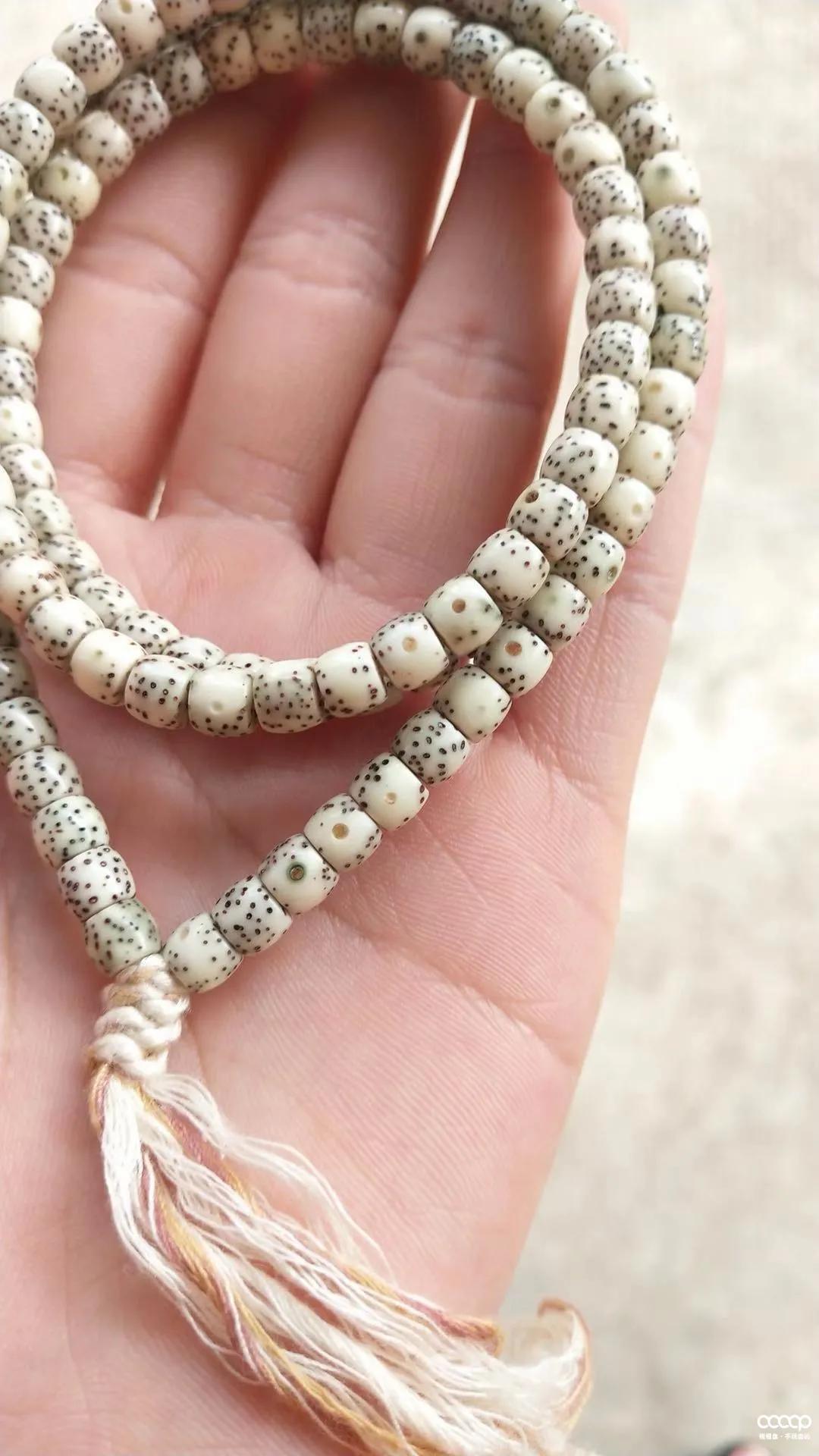 有毒！又一位宝藏小姐姐，玩核桃最爱“马虎”，朋友眼里是奇葩