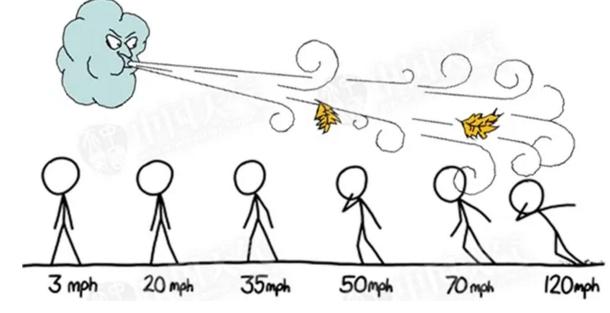 本周末最高26℃！青岛人，你经历的可能是35年来最暴烈的春风！
