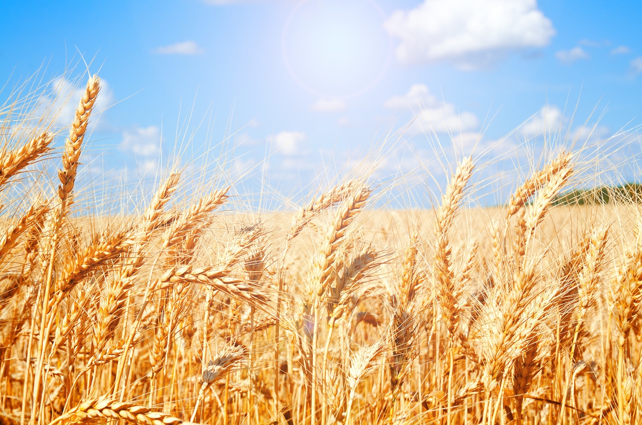 我请的装修工施工时受伤了怎么办,我雇的工人给别人干活受伤谁负责