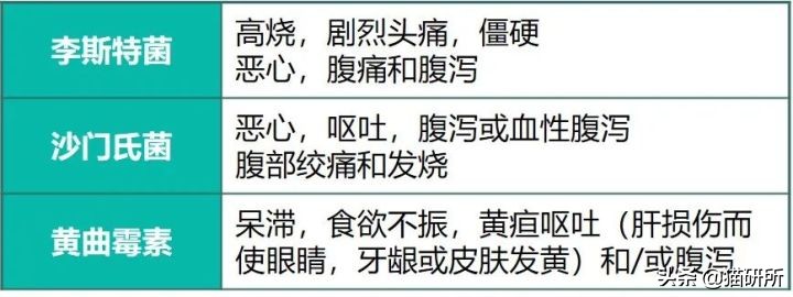 如何买质量又好又便宜的猫粮,猫粮哪里买到正品