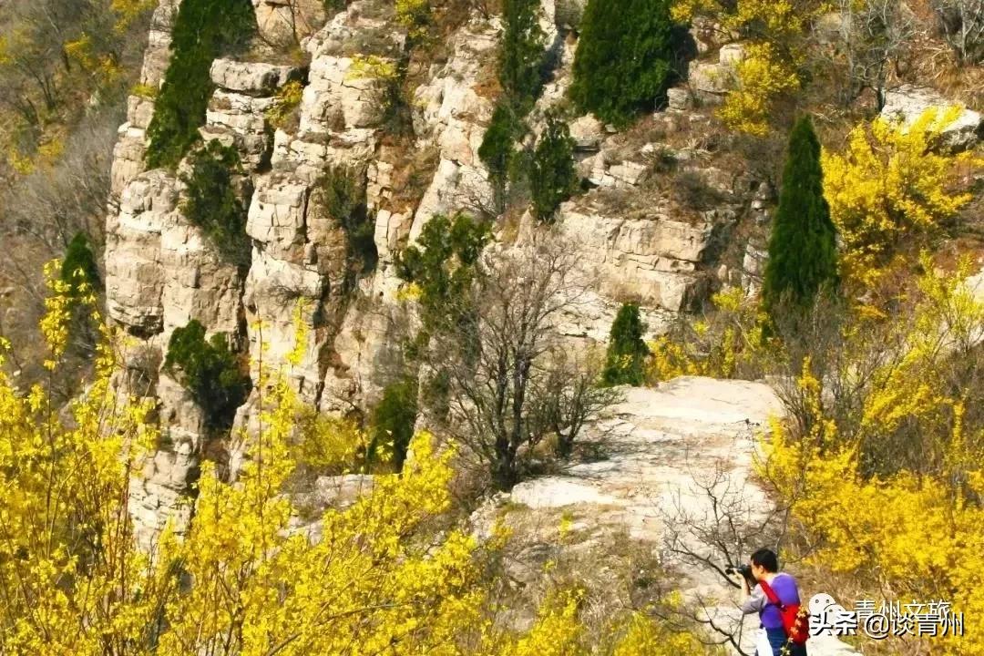 青州市区景区地图,青州全域旅游