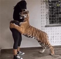 干细胞对于男性有何作用,干细胞改善男性生殖健康