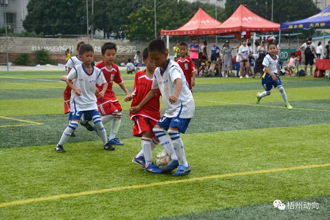 足球训练营公益,足球训练公益项目